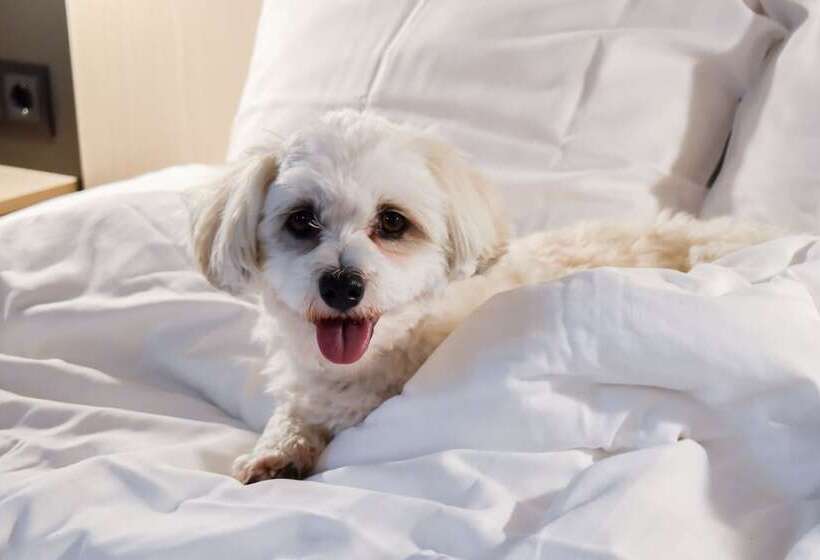 Отель Good Morning Jonkoping