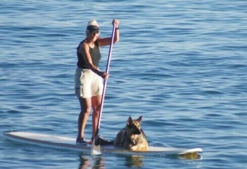 酒店 Holiday House