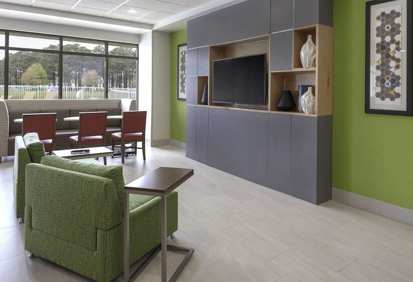 酒店 Holiday Inn Express Myrtle Beach Broadway At The Beach, An Ihg