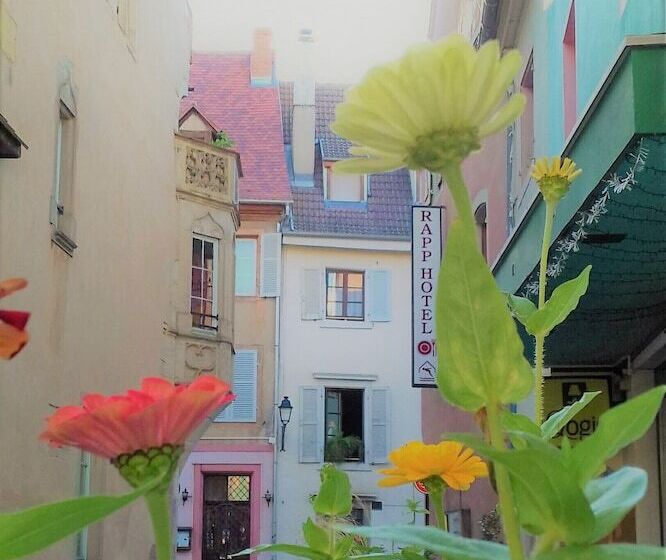 Отель Hôtel Le Rapp