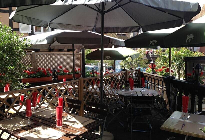 Отель Hôtel Restaurant Le Brochet