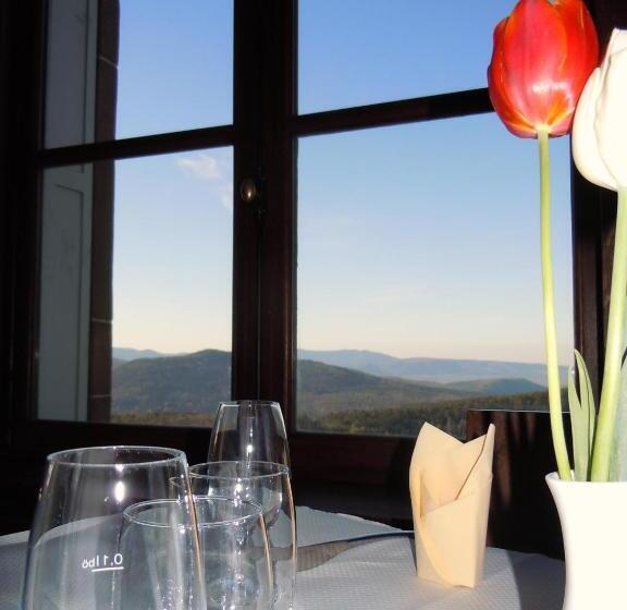 酒店 Hôtel Restaurant Mont Sainte Odile