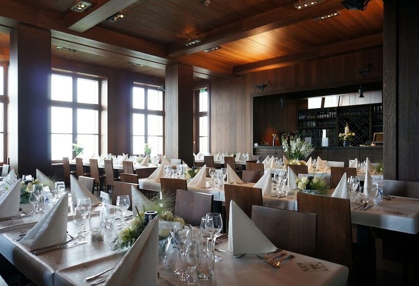 酒店 Hôtel Restaurant Mont Sainte Odile