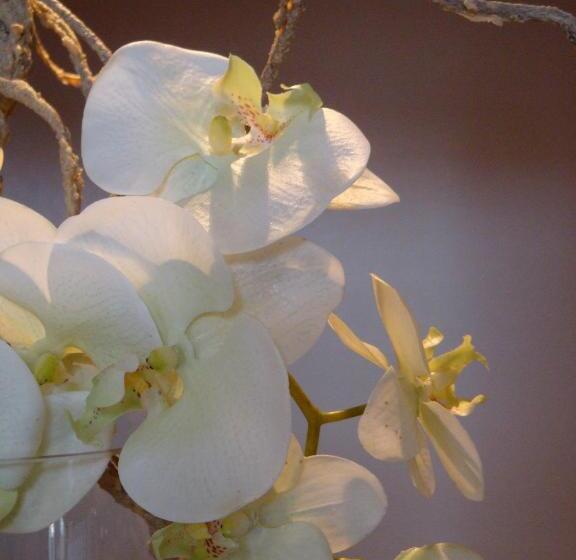 Отель L Auberge Alsacienne