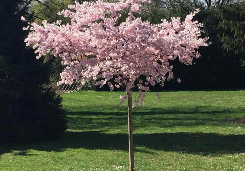 酒店 L Hôtel Des Bords De L Ill