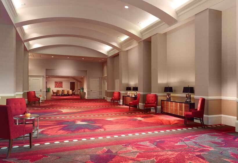 فندق Omni Providence