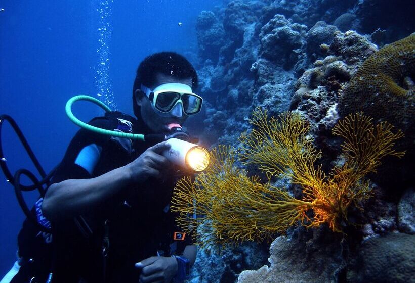 هتل Plantation Bay Resort And Spa