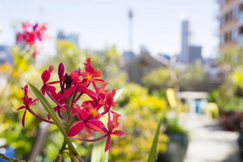 هتل Regents Court Sydney