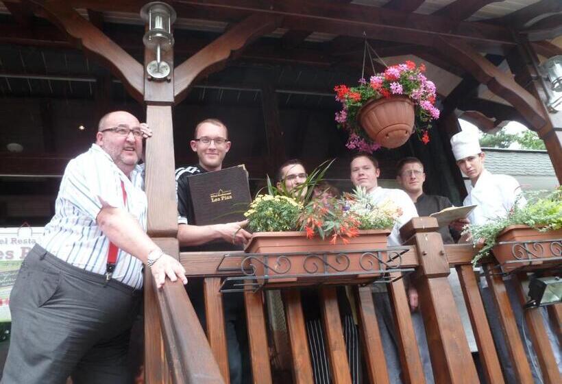 酒店 Restaurant Les Pins Logis