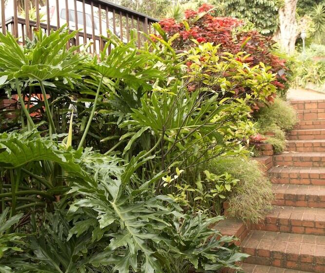 Отель Ridgeview Lodge