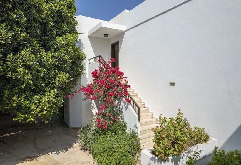 호텔 Seckin Konaklar