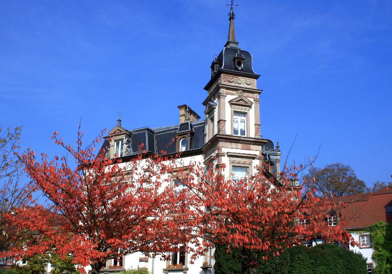 فندق Hôtel Château De L Ile