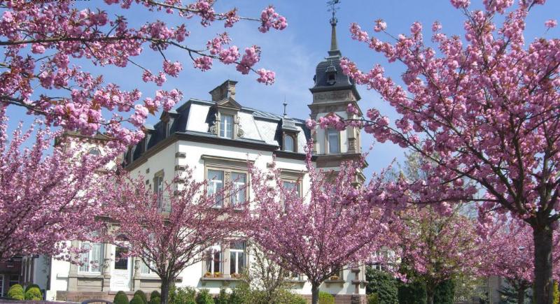 فندق Hôtel Château De L Ile