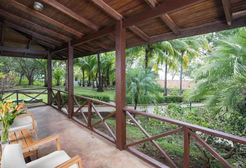 فندق Sugar Beach