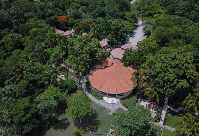 فندق Sugar Beach