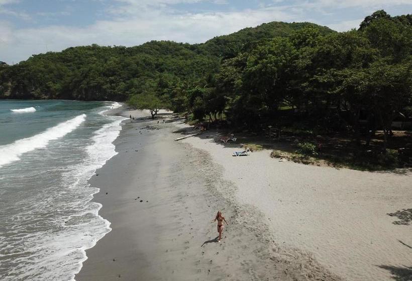 فندق Sugar Beach