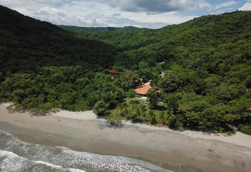 فندق Sugar Beach