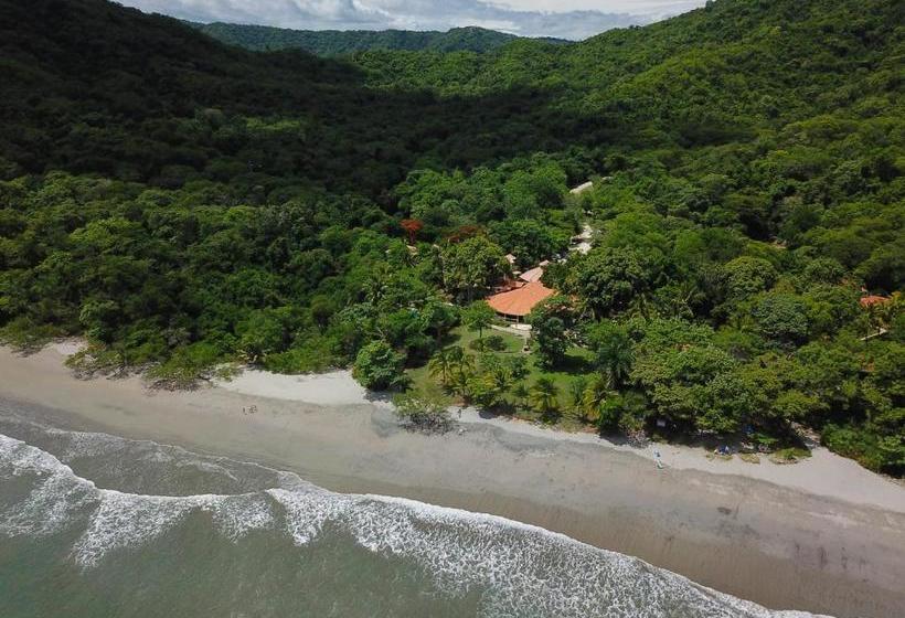 فندق Sugar Beach