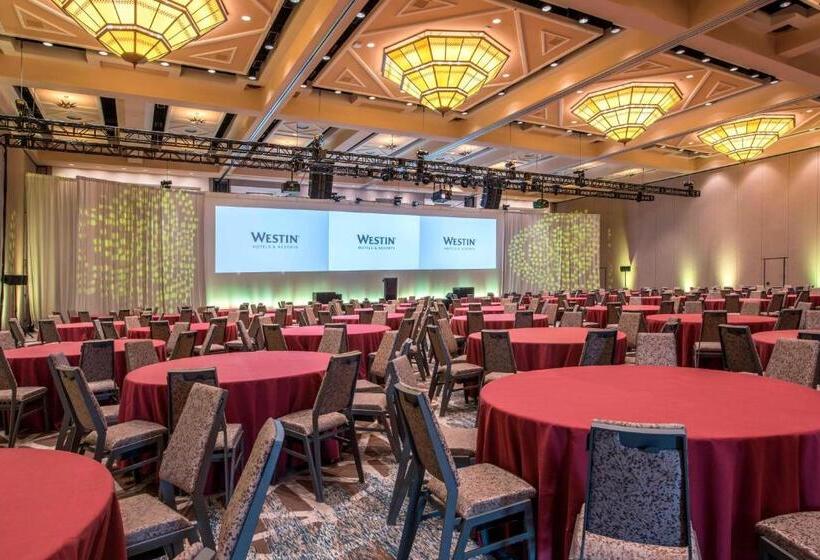 هتل The Westin Lake Las Vegas Resort & Spa