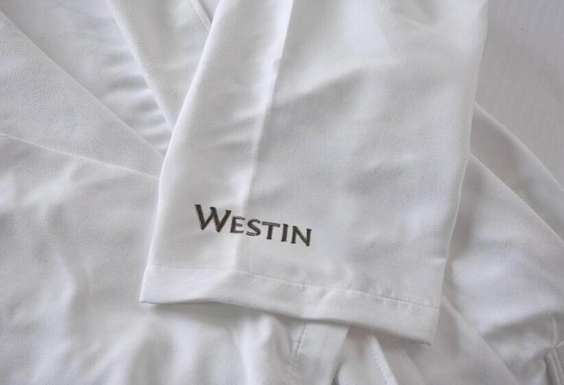 هتل The Westin Lake Las Vegas Resort & Spa
