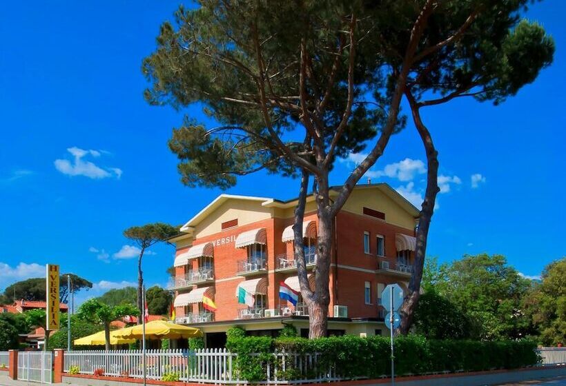 酒店 Versilia