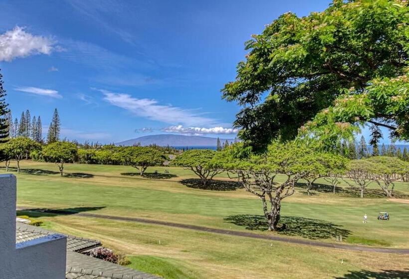Kapalua Golf Villas 16v3
