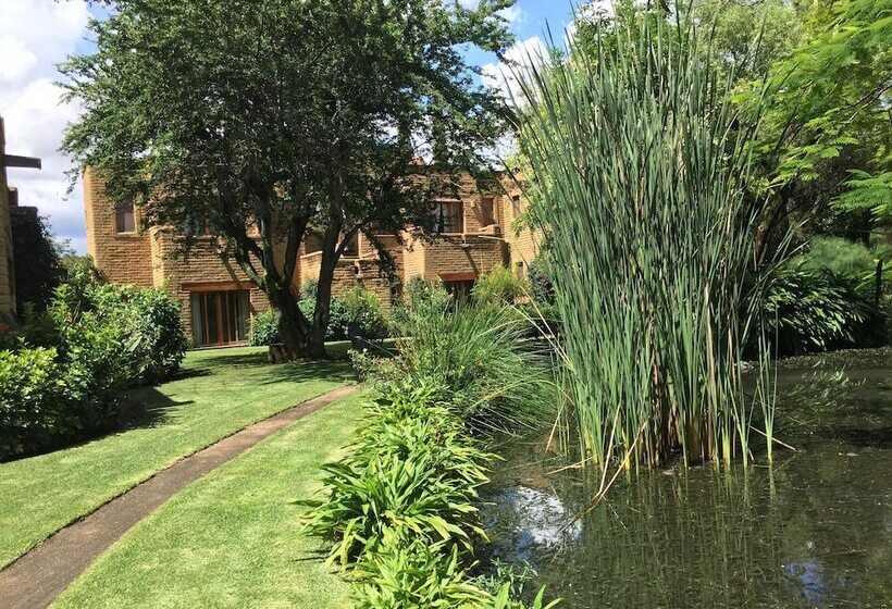 Mision Del Sol Resort & Spa Adults Only