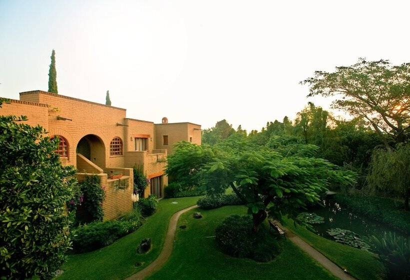 Mision Del Sol Resort & Spa Adults Only