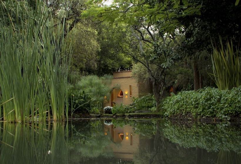 Mision Del Sol Resort & Spa Adults Only