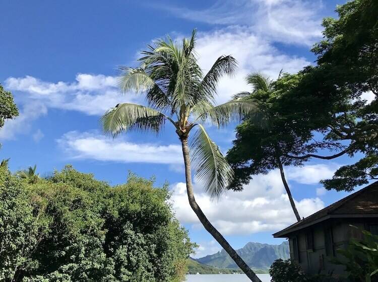 Paradise Bay Resort