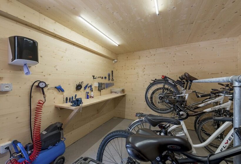 Отель Alpenresort Eienwäldli Engelberg