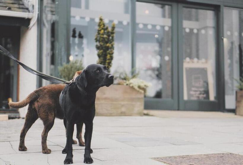 Westmorland Hotel Tebay