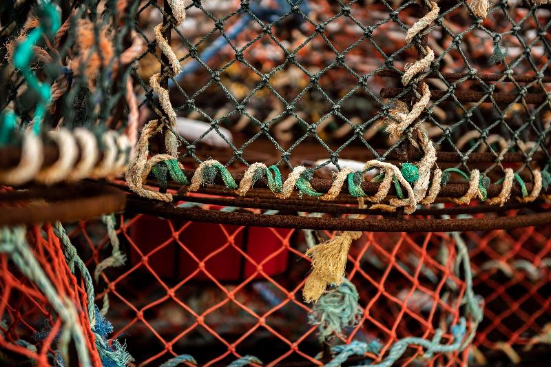 Apollo Bay Motel & Apartments, BW Signature Collection