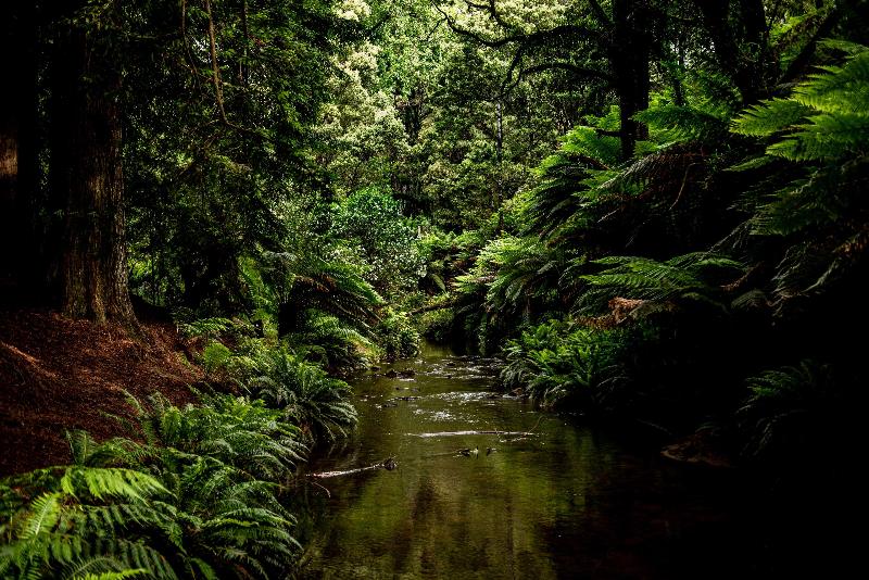 Apollo Bay Motel & Apartments, BW Signature Collection
