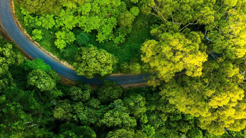 Apollo Bay Motel & Apartments, BW Signature Collection