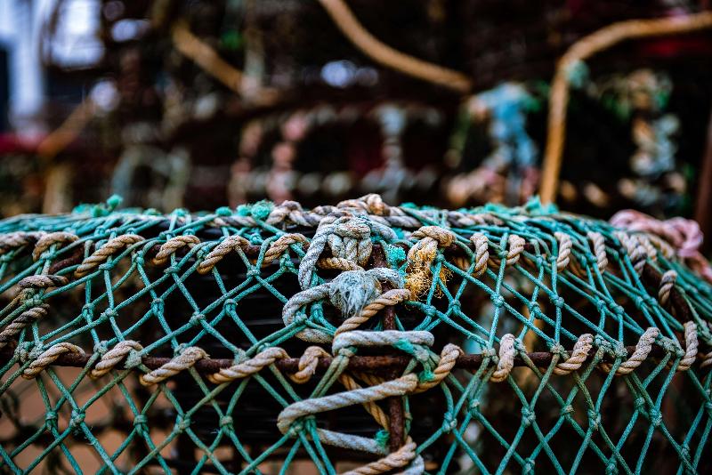 Apollo Bay Motel & Apartments, BW Signature Collection