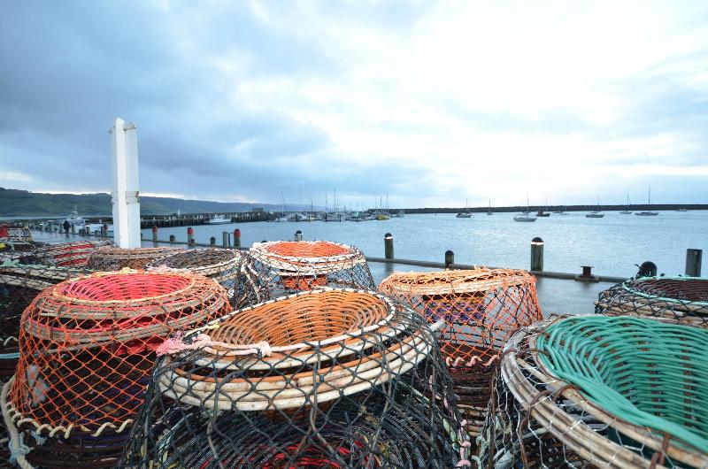 Apollo Bay Motel & Apartments, BW Signature Collection