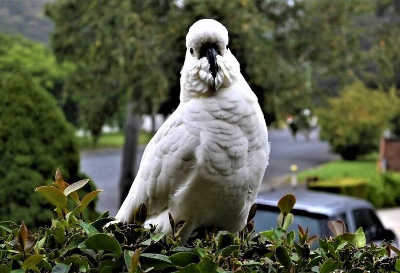 Grand Country Lodge Motel