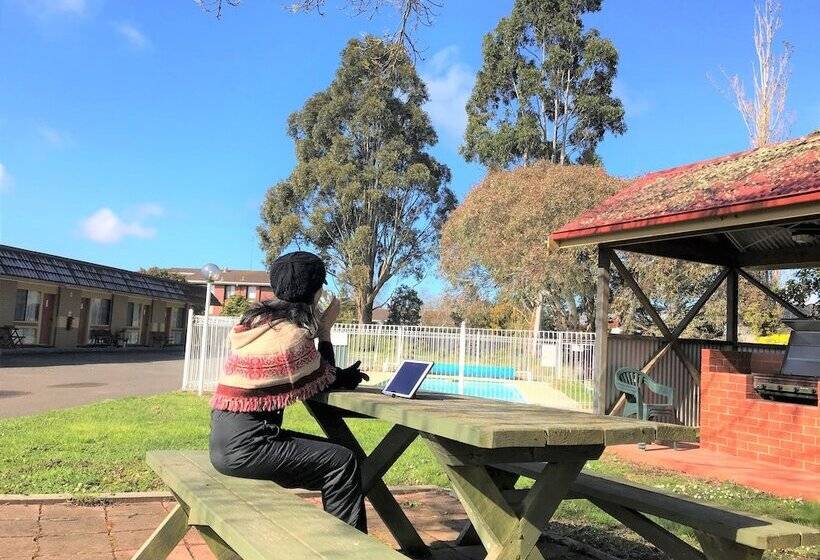 호텔 Alfred Motor Inn