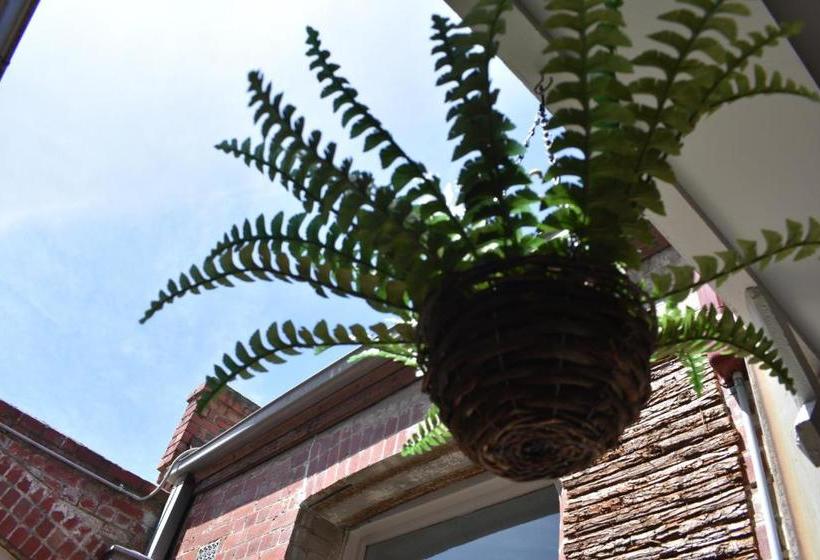 בית מלון כפרי Ansonia On Lydiard