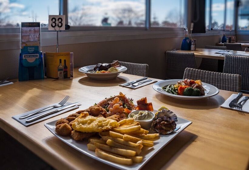 فندق Argosy Motor Inn