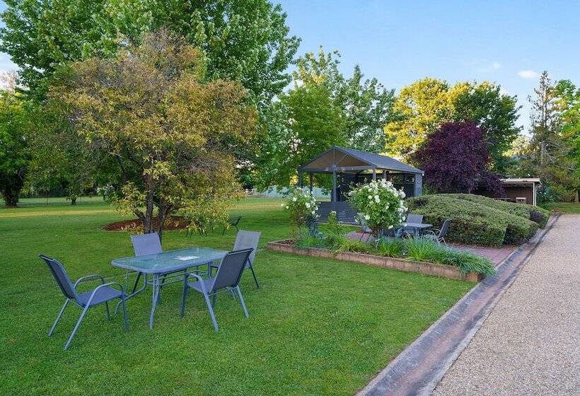 酒店 Beechworth Motor Inn