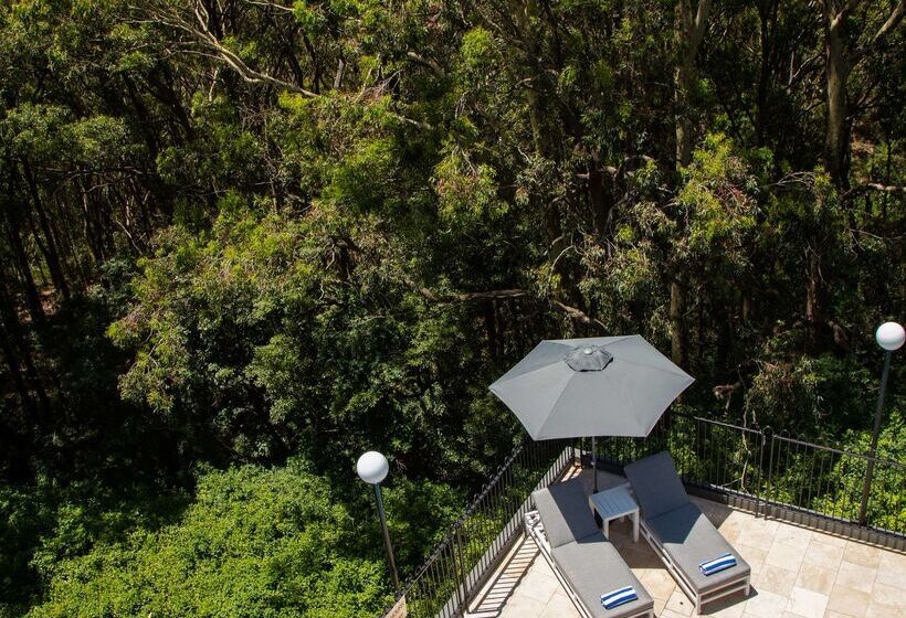 Best Western Plus Apollo Hotel Newcastle