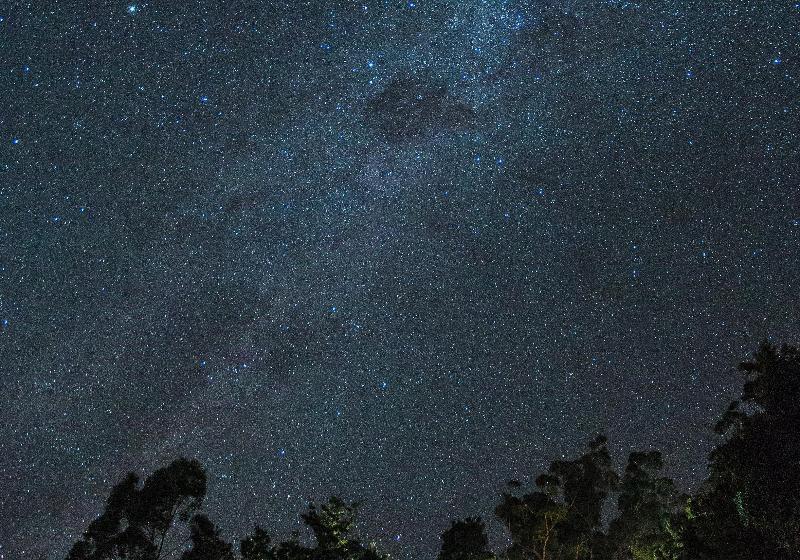 酒店 Binna Burra Sky Lodges