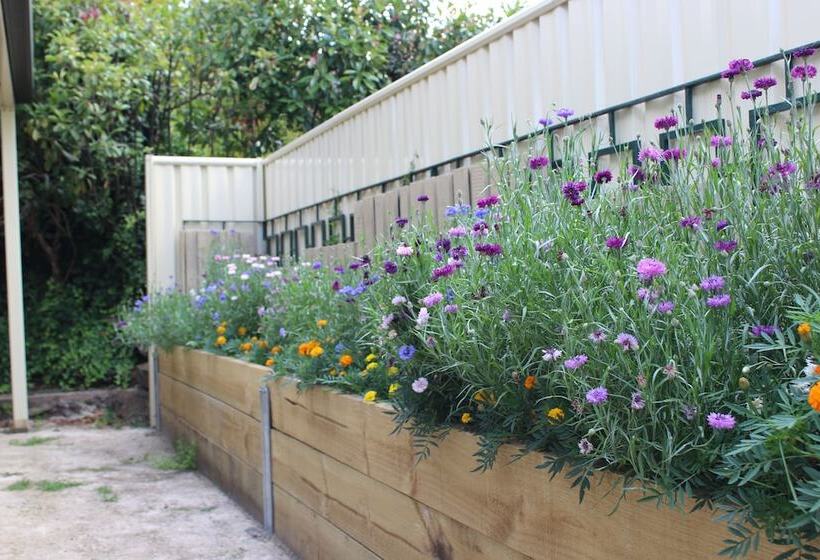 בית מלון כפרי High Mountains Motor Inn