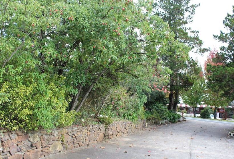 בית מלון כפרי High Mountains Motor Inn