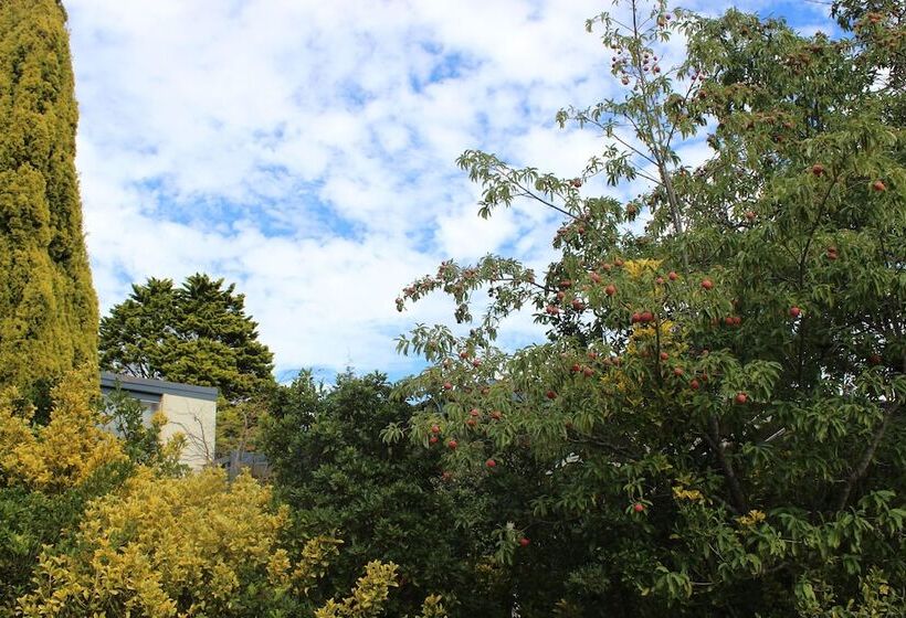 בית מלון כפרי High Mountains Motor Inn