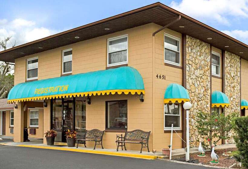 酒店 Knights Inn Kissimmee