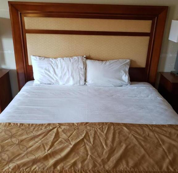 酒店 Knights Inn Kissimmee