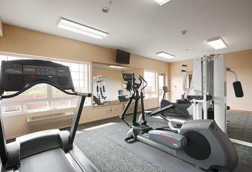 فندق Lighthouse Suites Inn